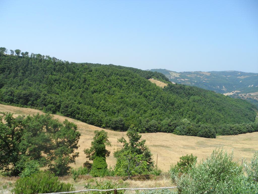 Agriturismo La Terrazza Valfabbrica Buitenkant foto