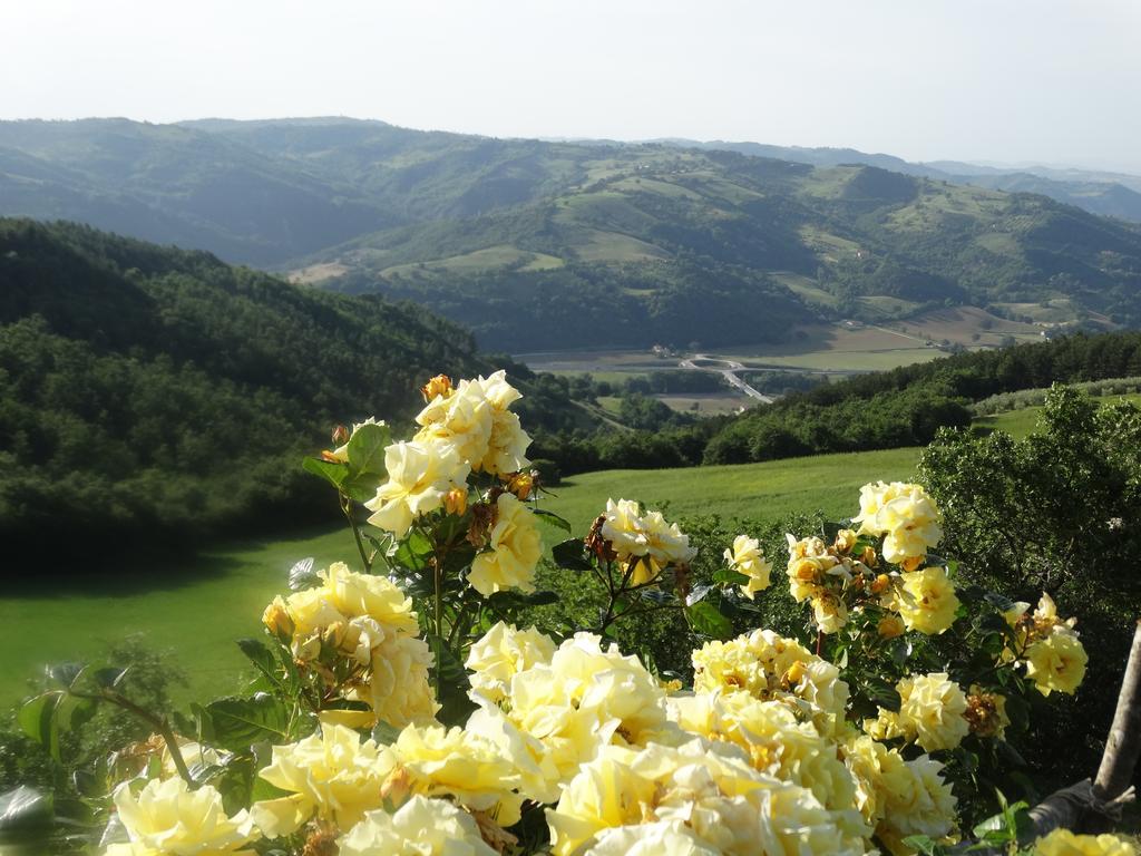 Agriturismo La Terrazza Valfabbrica Buitenkant foto